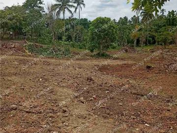 200 sqm Residential lot in Silang Cavite
