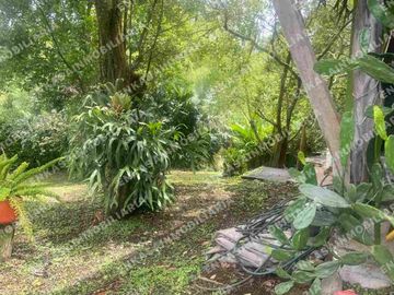Venta finca Montenegro Quindío