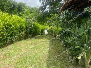 Venta finca Montenegro Quindío