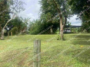Venta finca Montenegro Quindío