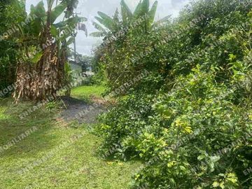 Venta finca Montenegro Quindío