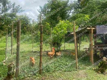 Venta finca Montenegro Quindío