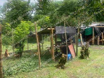 Venta finca Montenegro Quindío