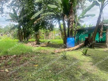 Venta finca Montenegro Quindío