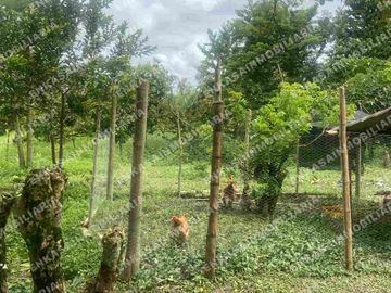 Venta finca Montenegro Quindío
