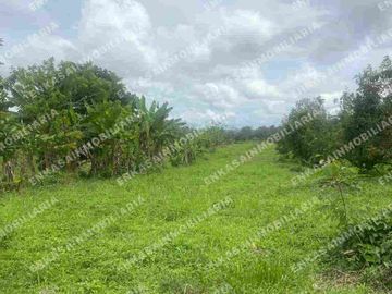 Venta finca Montenegro Quindío