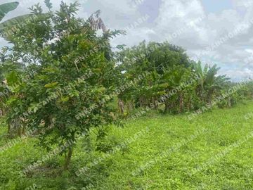 Venta finca Montenegro Quindío