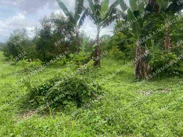 Venta finca Montenegro Quindío