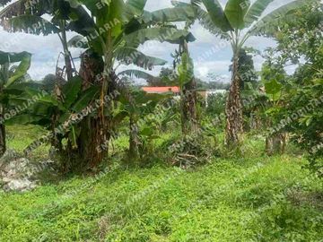Venta finca Montenegro Quindío