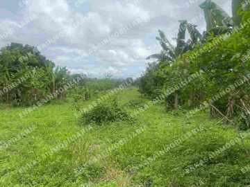 Venta finca Montenegro Quindío
