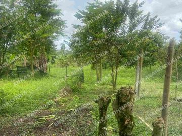 Venta finca Montenegro Quindío