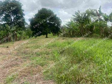 Venta finca Montenegro Quindío