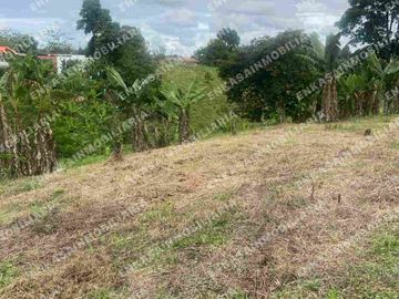 Venta finca Montenegro Quindío