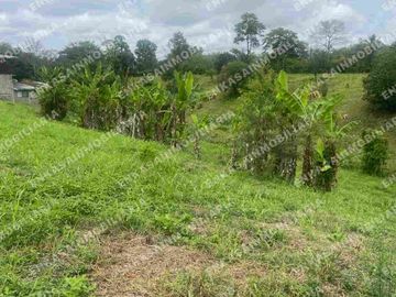 Venta finca Montenegro Quindío