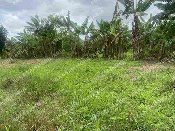 Venta finca Montenegro Quindío