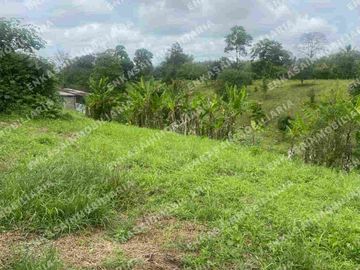 Venta finca Montenegro Quindío