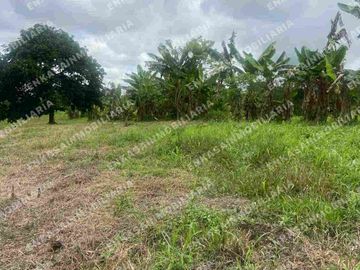 Venta finca Montenegro Quindío