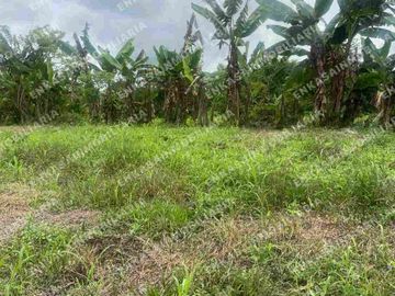 Venta finca Montenegro Quindío