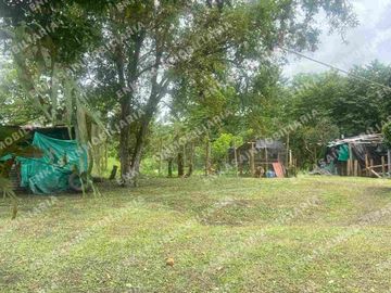 Venta finca Montenegro Quindío