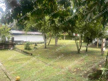 Venta finca Montenegro Quindío