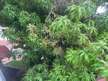 VENDO CASA SECTOR VILLA CAMPESTRE $1.250.000.000