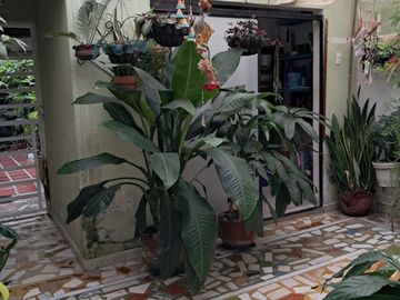 Casa en Andalucia Valle en vía principal