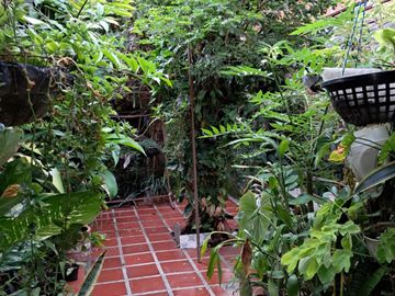 Casa en Andalucia Valle en vía principal