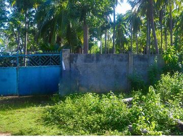 Top 10 Real Estate in Camotes Islands, Cebu, Philippines
