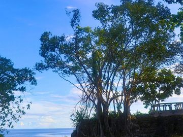Top 10 Real Estate in Camotes Islands, Cebu, Philippines