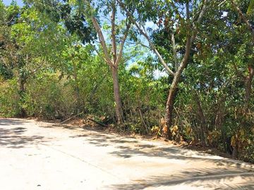 Top 10 Real Estate in Camotes Islands, Cebu, Philippines