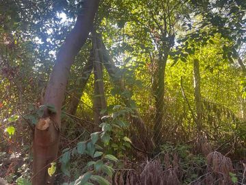 Se vende terreno en Vilches