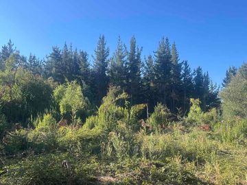Se vende terreno en Vilches