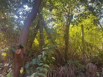 Se vende terreno en Vilches