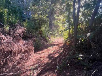 Se vende terreno en Vilches