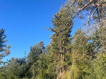 Se vende terreno en Vilches