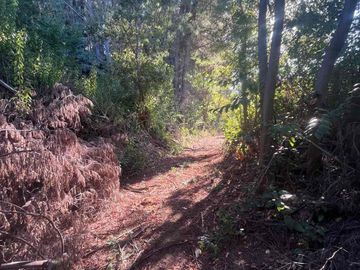 Se vende terreno en Vilches