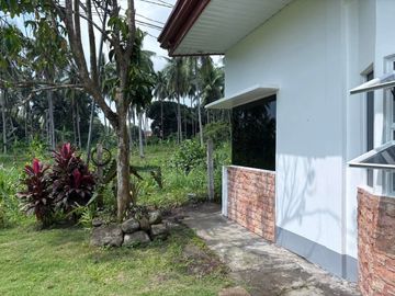 Newly Built Bungalow House and Lot in Valencia, Negros Oriental ID 14993