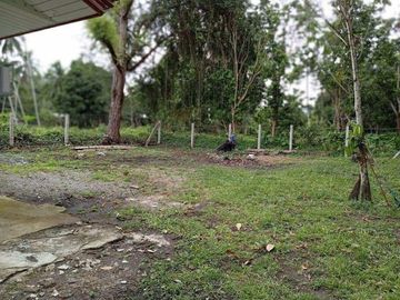 Newly Built Bungalow House and Lot in Valencia, Negros Oriental ID 14993