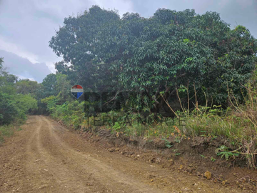Agricultural Property for Sale in Bolinao, Pangasinan