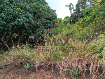 Agricultural Property for Sale in Bolinao, Pangasinan