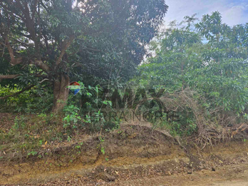 Agricultural Property for Sale in Bolinao, Pangasinan