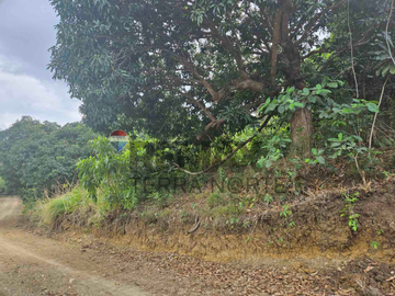 Agricultural Property for Sale in Bolinao, Pangasinan