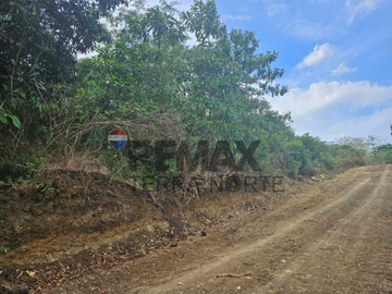 Agricultural Property for Sale in Bolinao, Pangasinan
