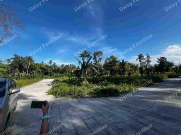 150 sqm Lot in Alfonso Cavite!