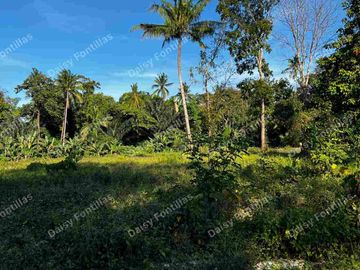 150 sqm Lot in Alfonso Cavite!