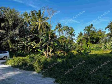 150 sqm Lot in Alfonso Cavite!
