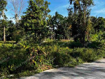 150 sqm Lot in Alfonso Cavite!