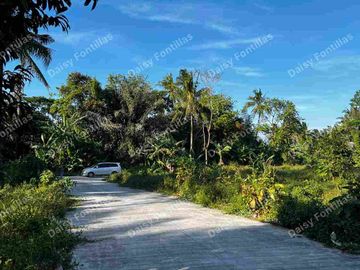 150 sqm Lot in Alfonso Cavite!