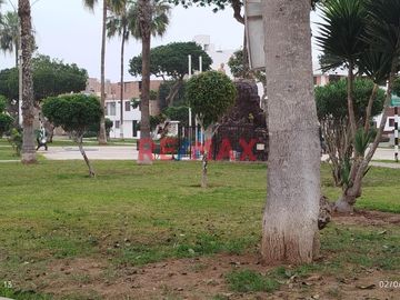 Vendo Terreno De 250 M2 En La Perla - Callao