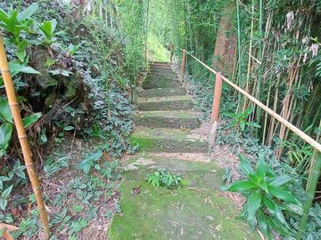 Casa Ecoturística u Hostal Venta Minca, 13.000 m2, Vista a Santa Marta